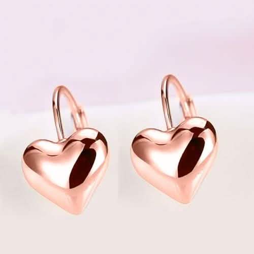 Sleek Heart Shaped Leverback Earrings DailySale