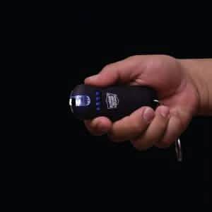 Smart 24,000,000 Keychain Stun Gun DailySale