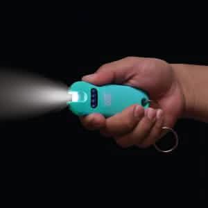 Smart 24,000,000 Keychain Stun Gun DailySale