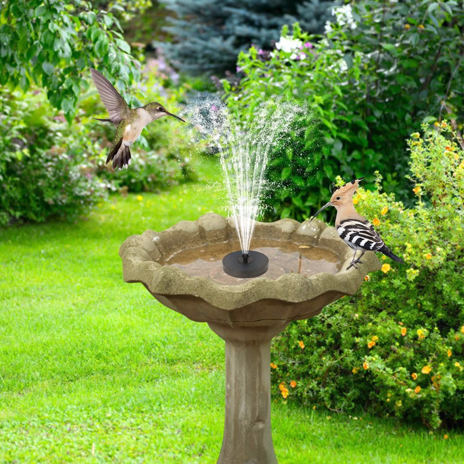 Solar Powered Fountain Pump with LED Lights DailySale