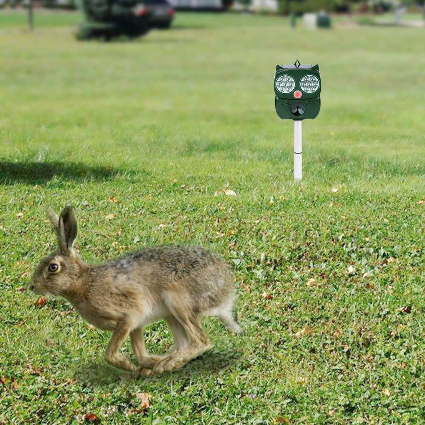 Solar Powered Ultrasonic Animal Repeller PIR Motion Sensor DailySale
