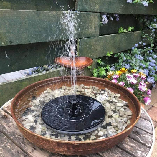 Solatec Solar Fountain DailySale