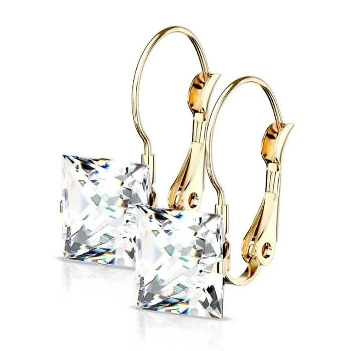 Stainless Steel Square CZ Gem Earrings DailySale