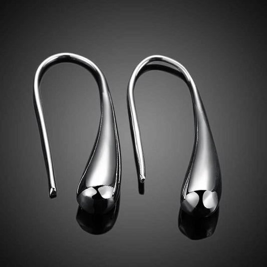 Sterling Silver Plated Waterdrop Hook Earrings DailySale