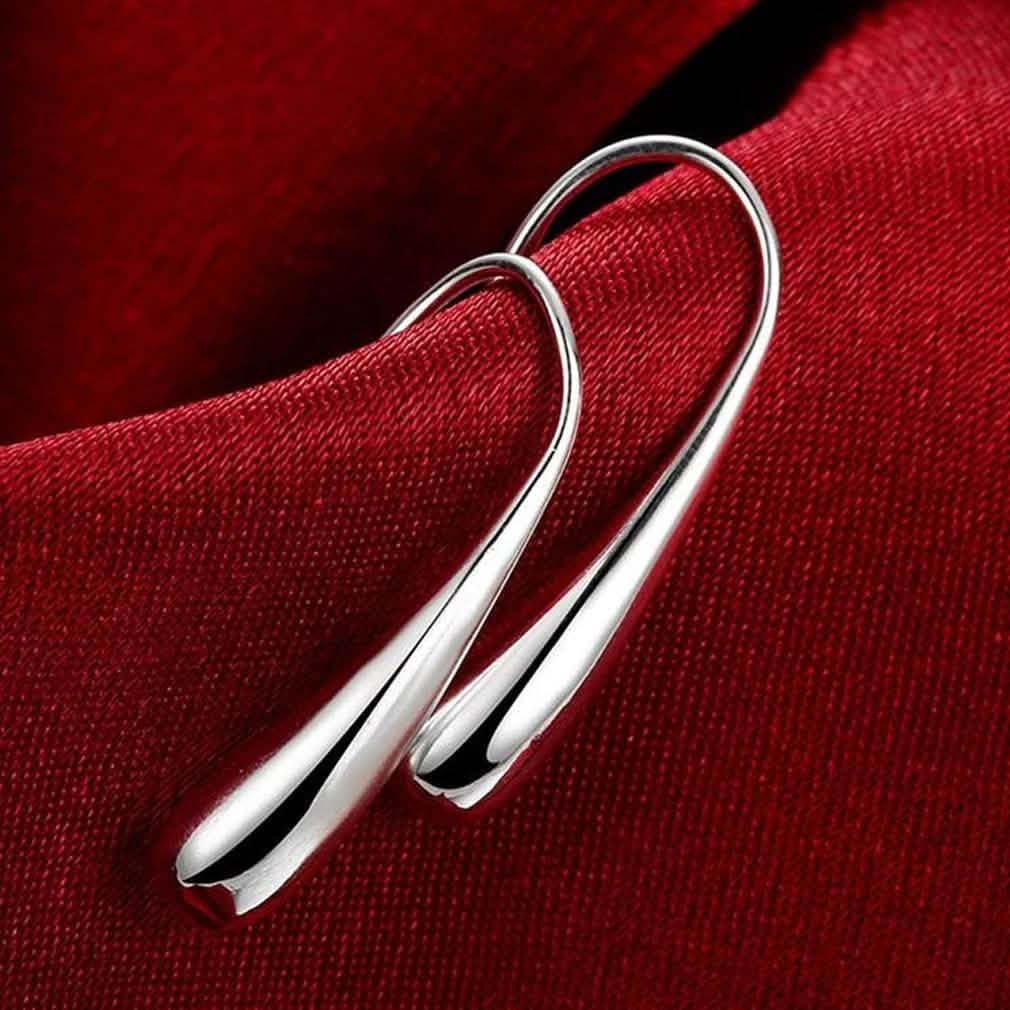 Sterling Silver Plated Waterdrop Hook Earrings DailySale