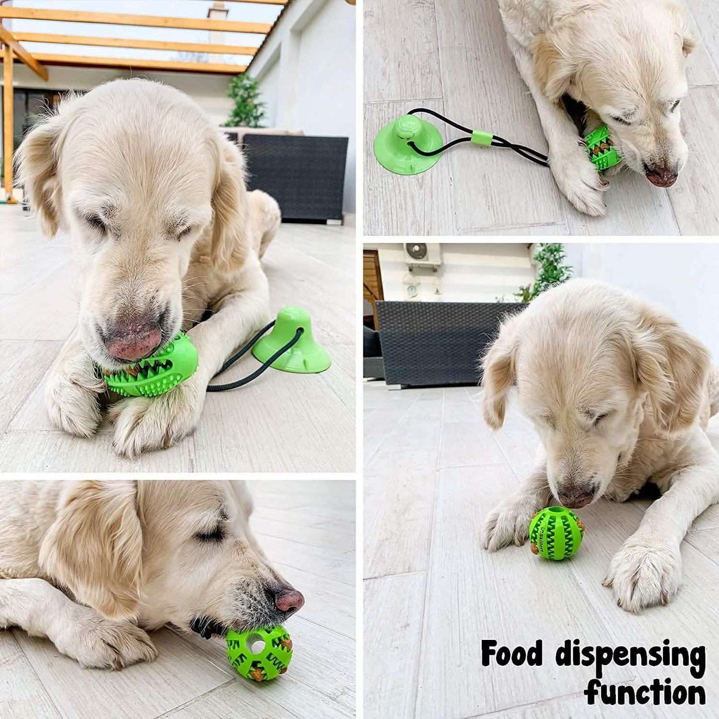 Suction Cup and Play IQ Toy Treat Ball DailySale