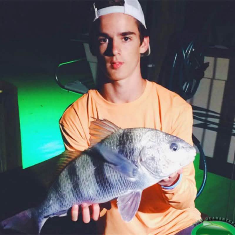 Sunbeam LED Fishing Light DailySale