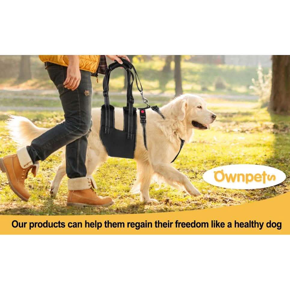 Support Harness Set Adjustable Chest Sling Strap for Elderly Disable Dog DailySale