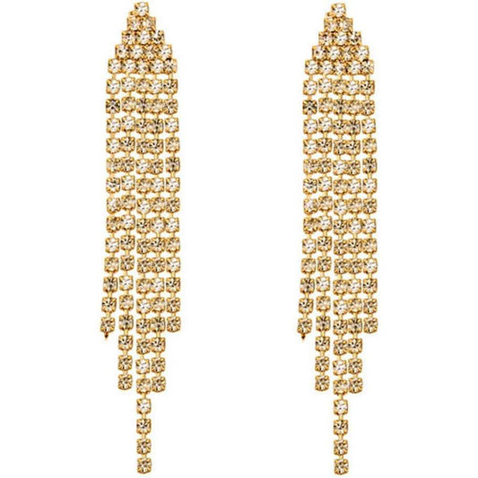 Tassel Linear Drop Earrings DailySale