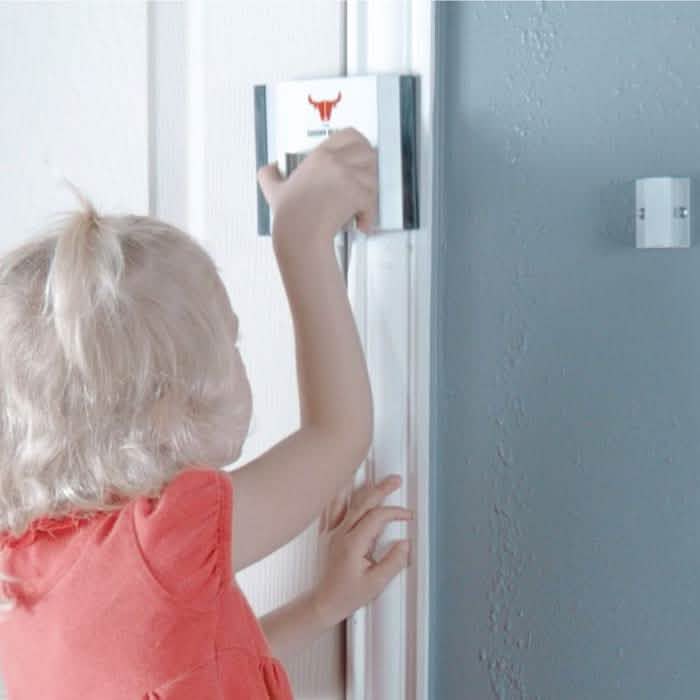 The Door Bull DailySale