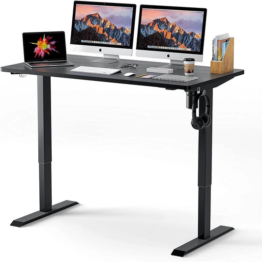 TTKK Electric Standing Desk DailySale