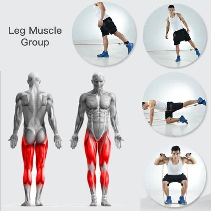 Ultimate Home Workout Set DailySale