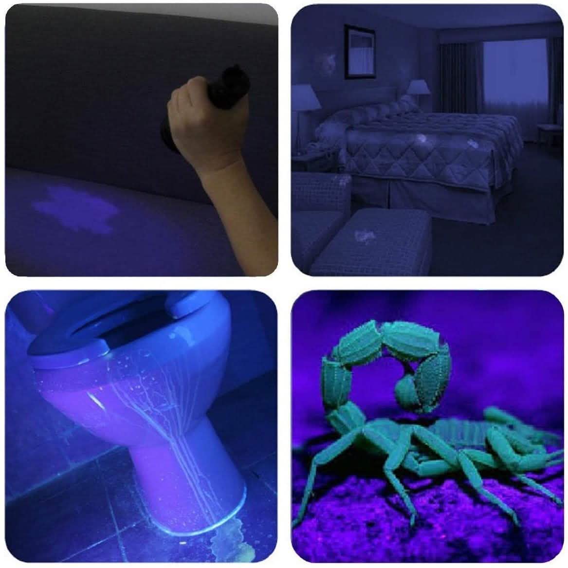 UV Flashlight Black Light DailySale