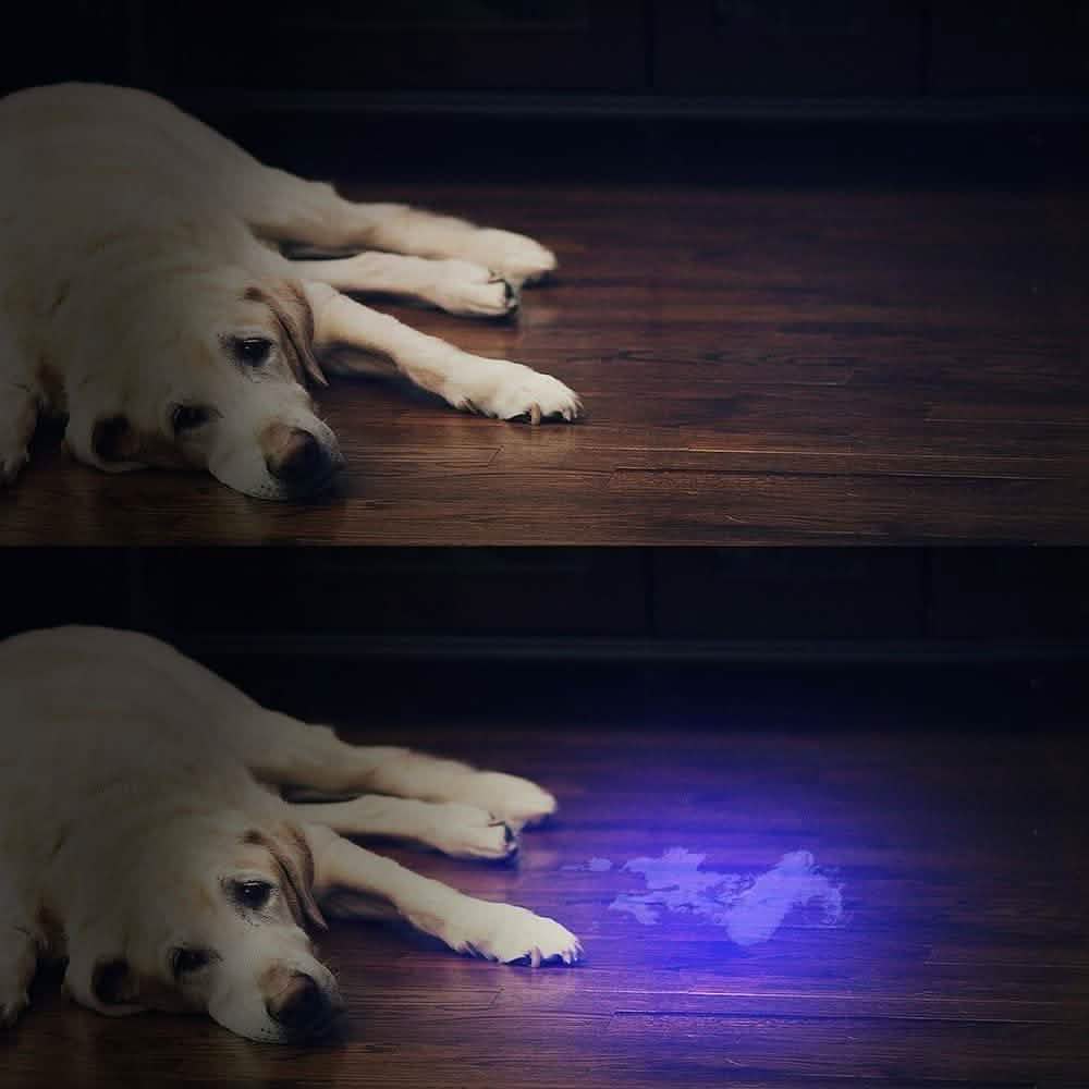 UV Flashlight Black Light DailySale