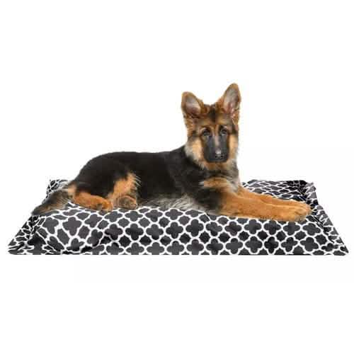 Wags 'N Whiskers Orthopedic Pet Bed Pillow - Assorted Styles DailySale
