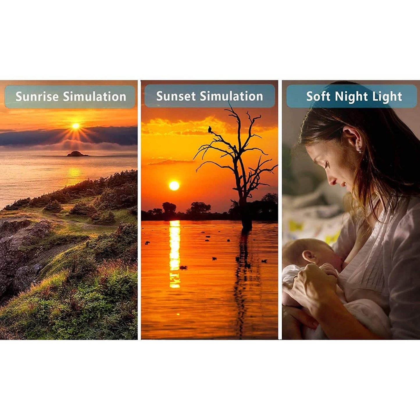 Wake Up Light Sunrise Alarm Clock DailySale