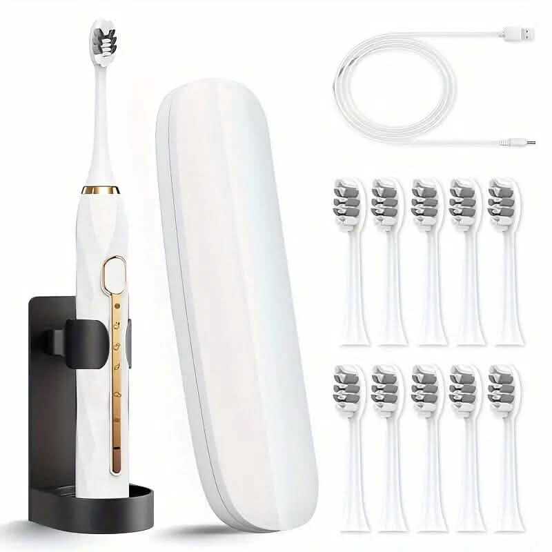 Waterproof USB Rechargeable Electric Toothbrush with 10 Replaceable Toothbrush Heads, Charger and Case DailySale