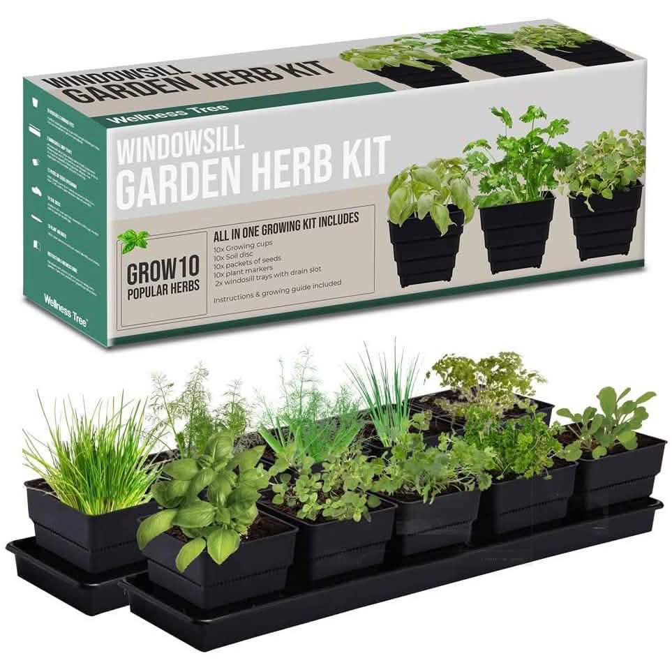 Windowsill Garden Herb Kit DailySale