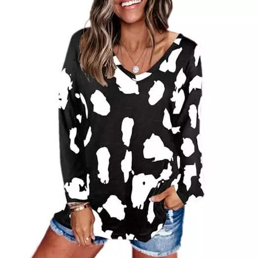 Women's V-Neck Leopard Print Inspired Top DailySale