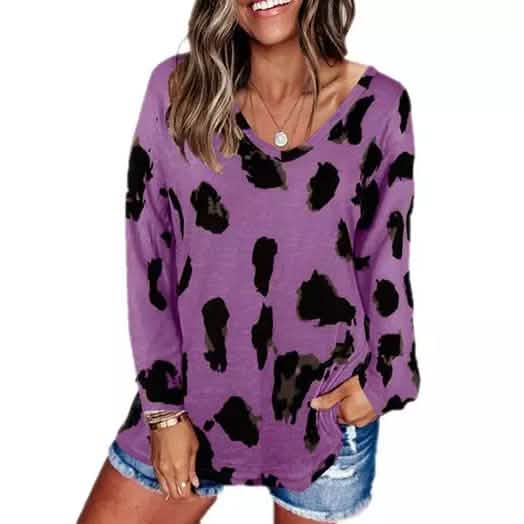 Women's V-Neck Leopard Print Inspired Top DailySale