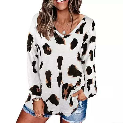 Women's V-Neck Leopard Print Inspired Top DailySale