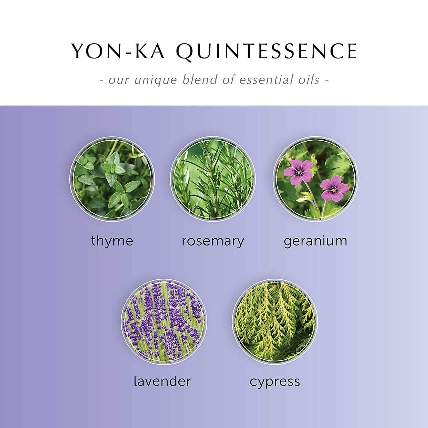 Yon-ka Age Defense: Hydra No.1 Creme, Hydrating & Repairing Cream DailySale